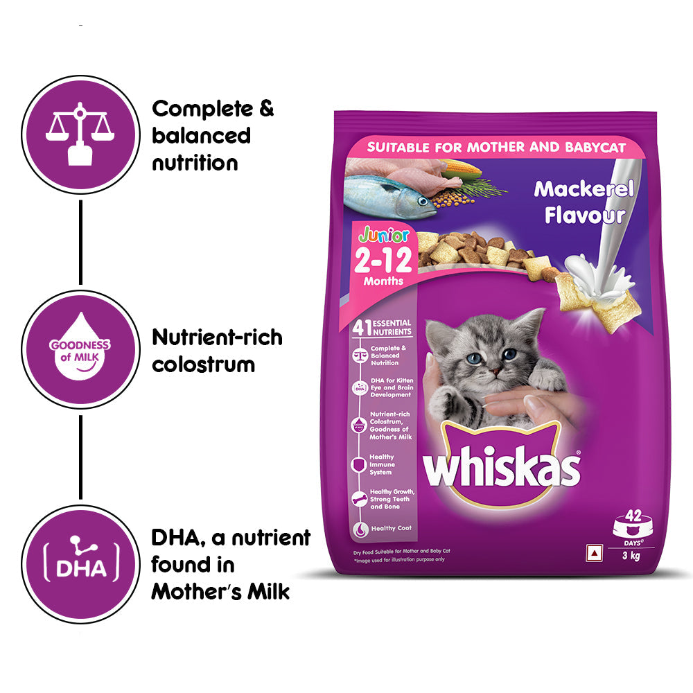 Whiskas junior dry food sale