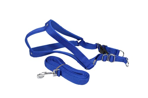 Smarty Pet Harnesh & Leash