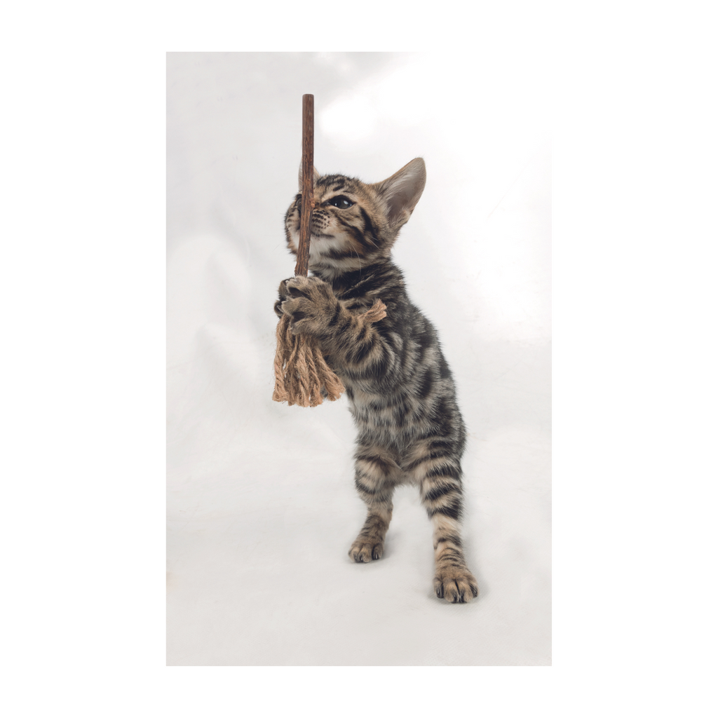 Trixie: - Matatabi Broom with Tassels | Cat Rope Toy - 16 cm