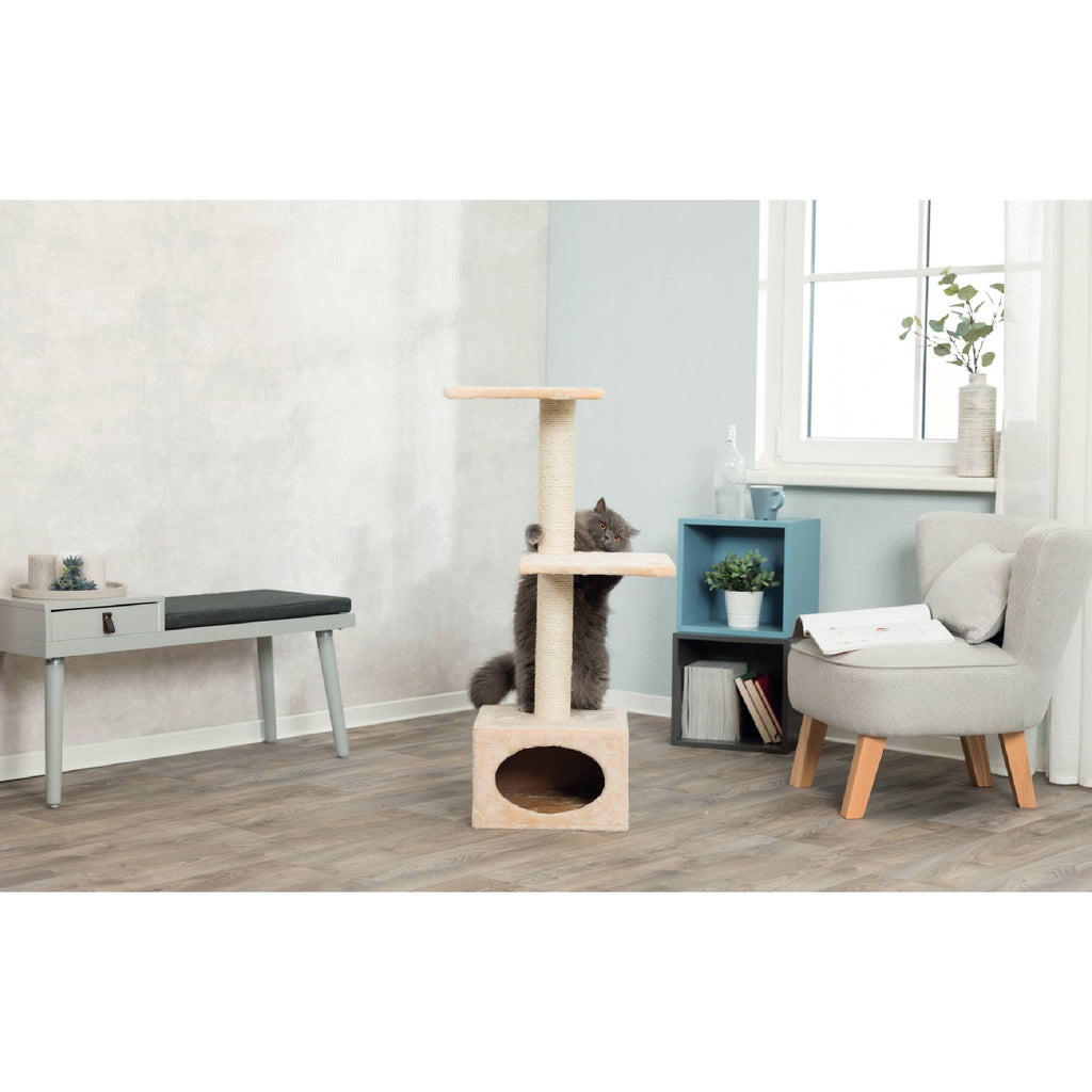 Trixie Tunnel + 2 Level Cat Scratch Post