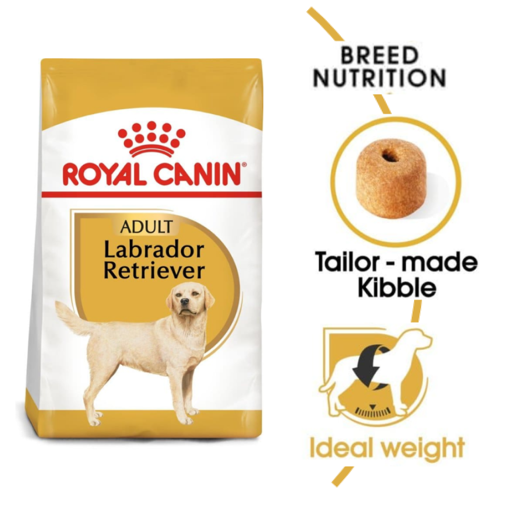 Royal Canin Labrador Retriever Adult Dog Dry Food