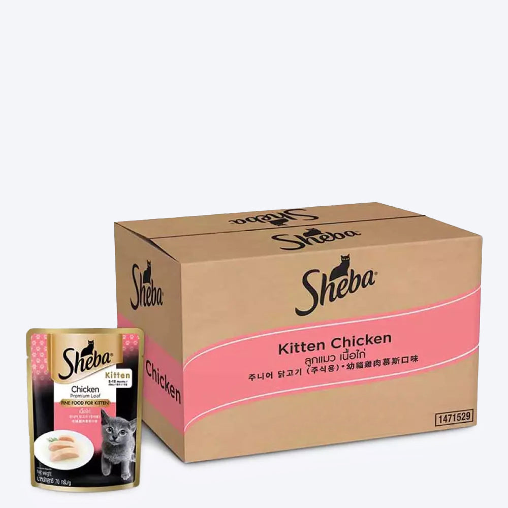 Sheba Rich Chicken Premium Loaf Wet Kitten Food Box - 1.68 kg