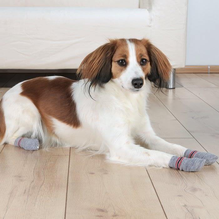 Trixie Non-Slip Socks for Dogs - Grey - 1 Pair ( 2 socks Covers 2 Paws Only)
