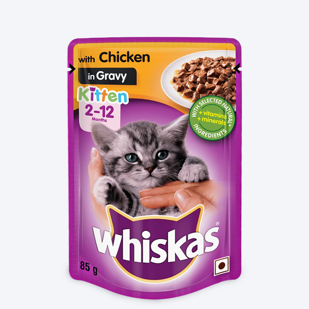 Whiskas Chicken in Gravy Junior Wet Kitten food - 85 gm - 